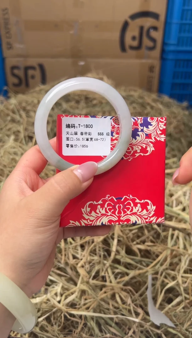 未镶嵌手镯石英质玉T-1800