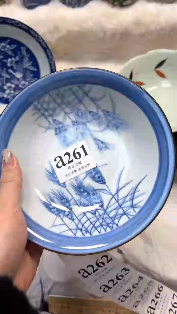 【闪购商品】瓷片          a261
