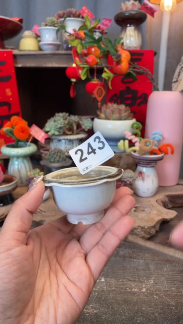 【闪购商品】摆件243知木小芳花盆