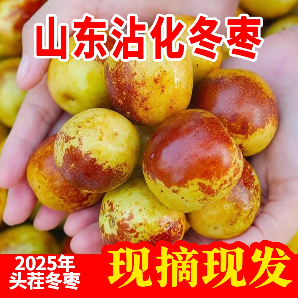 山东沾化现摘冰糖冬枣脆甜多汁当季新鲜水果zx
