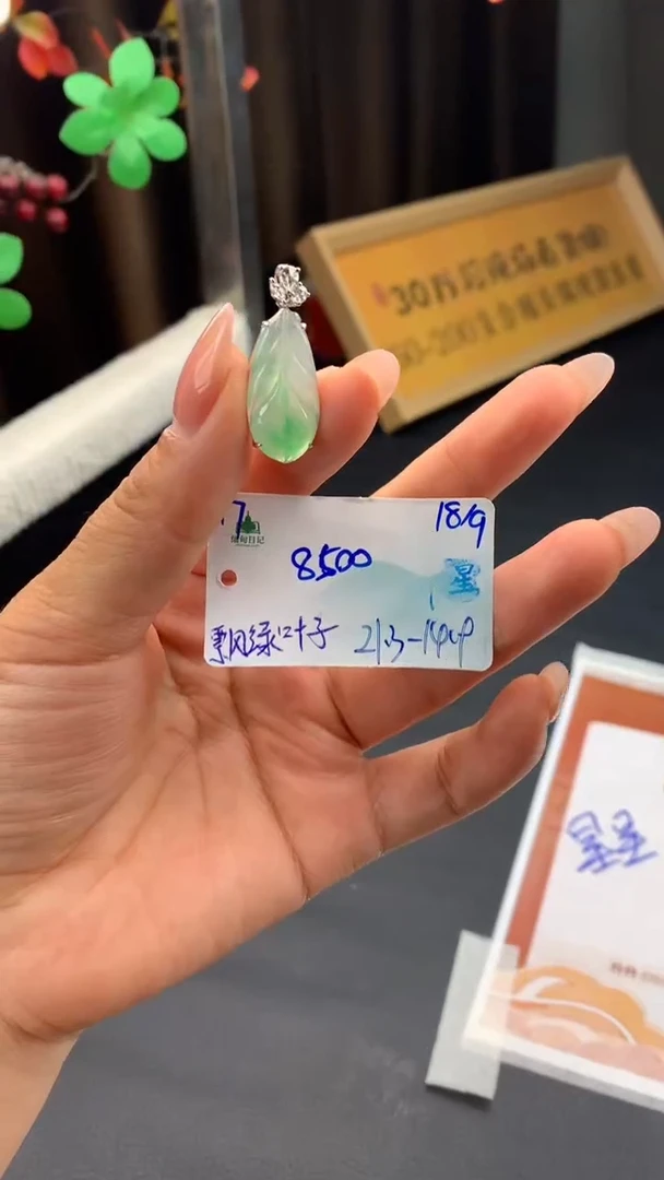 颈饰未镶嵌翡翠自带#送人#，联系客服核对地址~