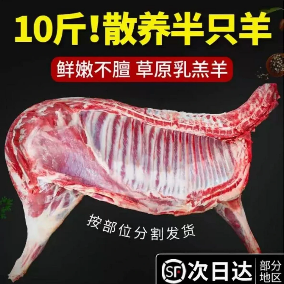 半只羊正宗原切散养草原羔羊到手10斤（分割发货 无礼盒）