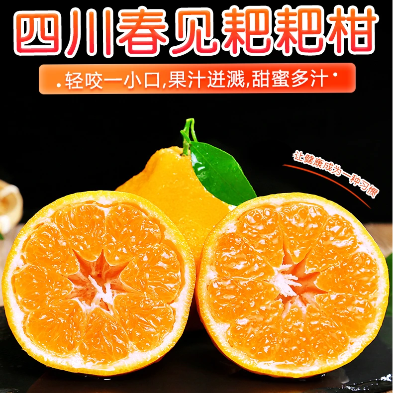正宗春见耙耙柑多汁香甜爆汁新鲜采摘酸甜可口榨汁耙耙柑成熟产品