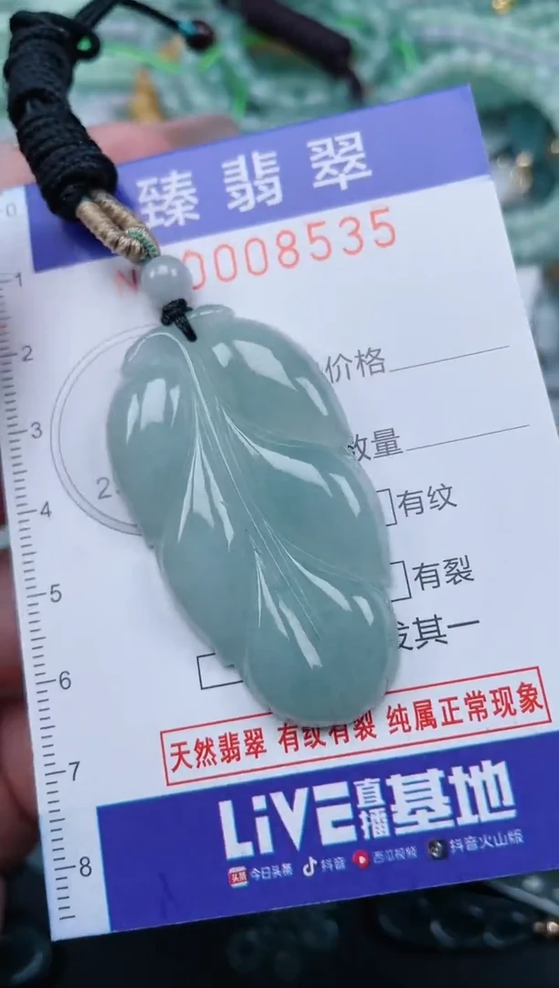 翡翠未镶嵌颈饰.0008535