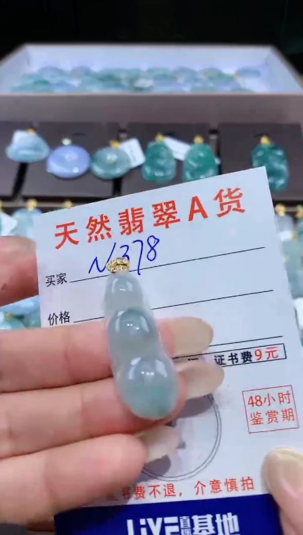 颈饰未镶嵌翡翠天然翡翠A货挂件