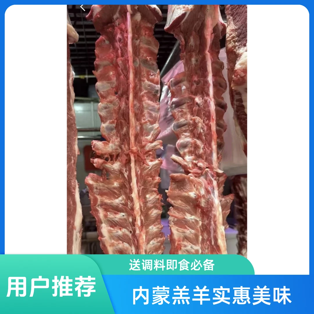 内蒙羔羊 普通羊蝎子一份5斤/送调料  （清炖 喝汤必备 超实惠）