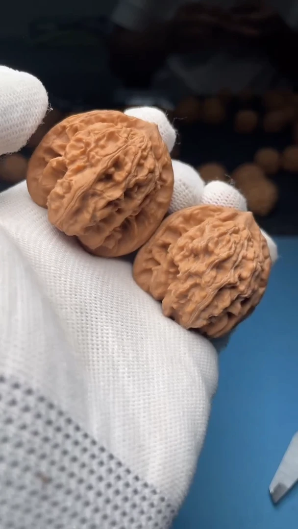 桃核把件a108  霞云岭 40尺