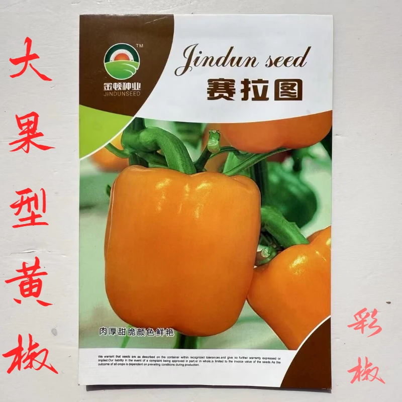 赛拉图黄甜椒种子肉厚甜脆颜色鲜艳大果型黄椒中早熟青黄果兼用种