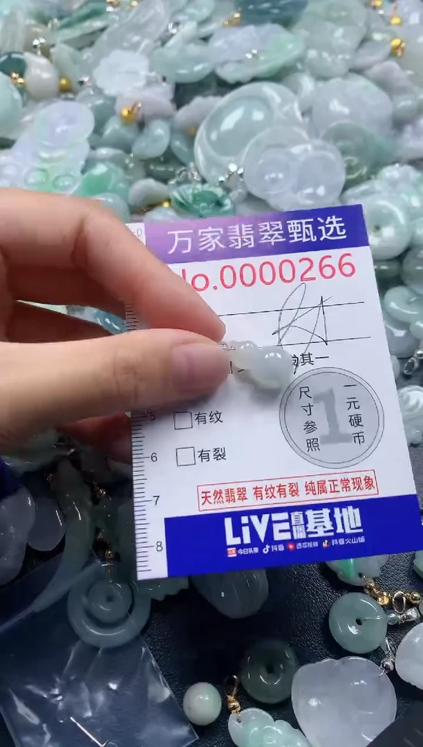 吊坠(不含链)未镶嵌翡翠0266