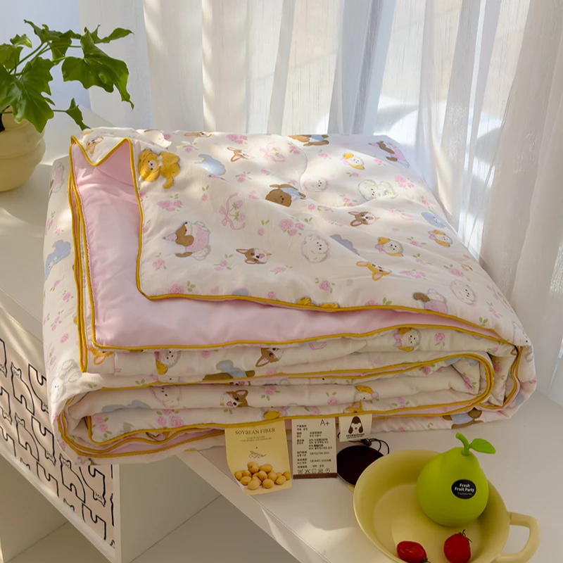 【工厂特惠】2025夏凉被双层纱宿舍夏季空调被小清新ins亲肤可水洗i