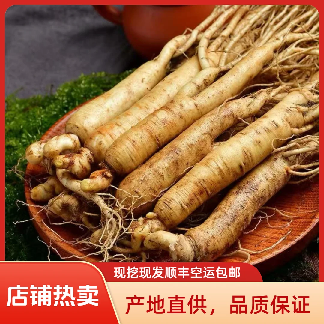 【到手40根5年长白山人参】原产地现挖新鲜人参泡酒煲汤滋补送礼