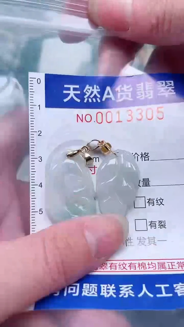 翡翠未镶嵌吊坠(赠链)1