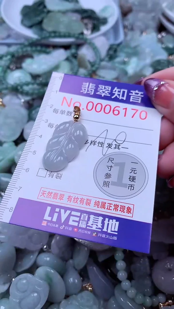 翡翠未镶嵌吊坠(不含链)6170