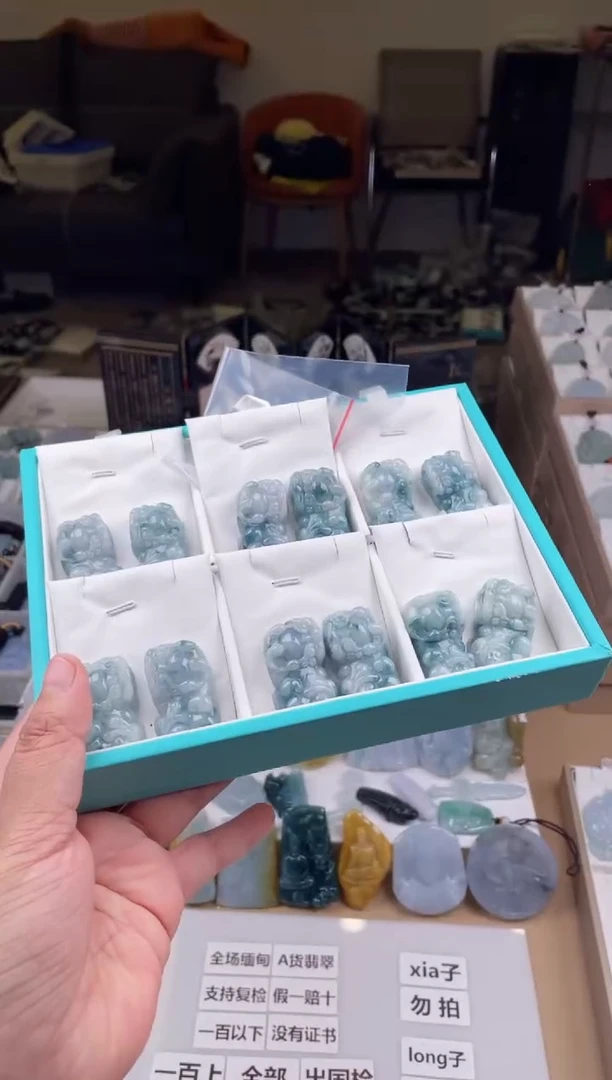 【闪购商品】翡翠颈饰未镶嵌天然缅甸A货翡翠多样性发一貔貅79