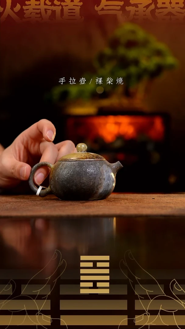 夸烧柴烧西施壶669