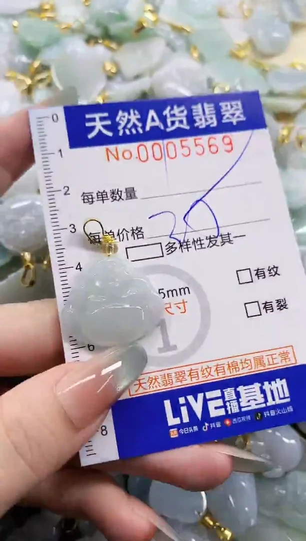 颈饰未镶嵌翡翠天然A货翡翠