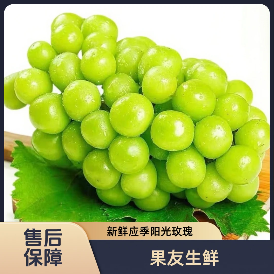 【云南晴王青提】无籽脆甜  净果3.5斤/一份 太原晋中吕梁忻州拍