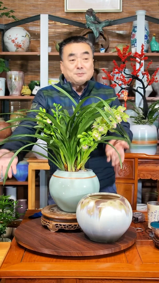 无花朵德*嘉水之韵水培香兰+瓷器*2