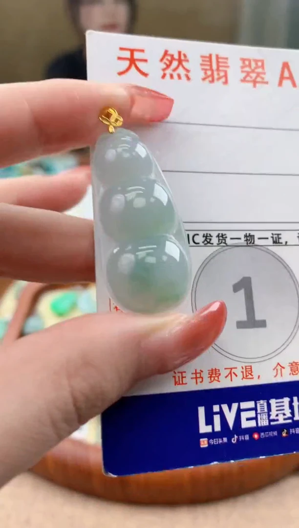 颈饰未镶嵌翡翠天然A货翡翠挂件