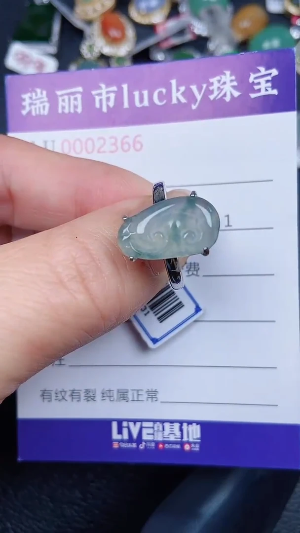 颈饰银S925镶嵌翡翠2366