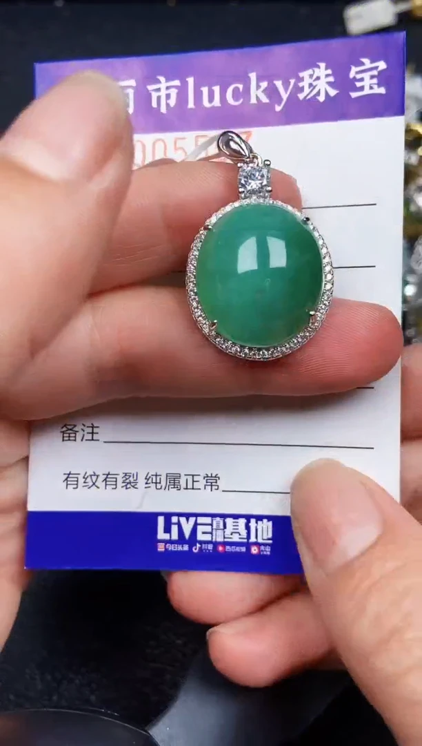 翡翠银S925镶嵌颈饰5557