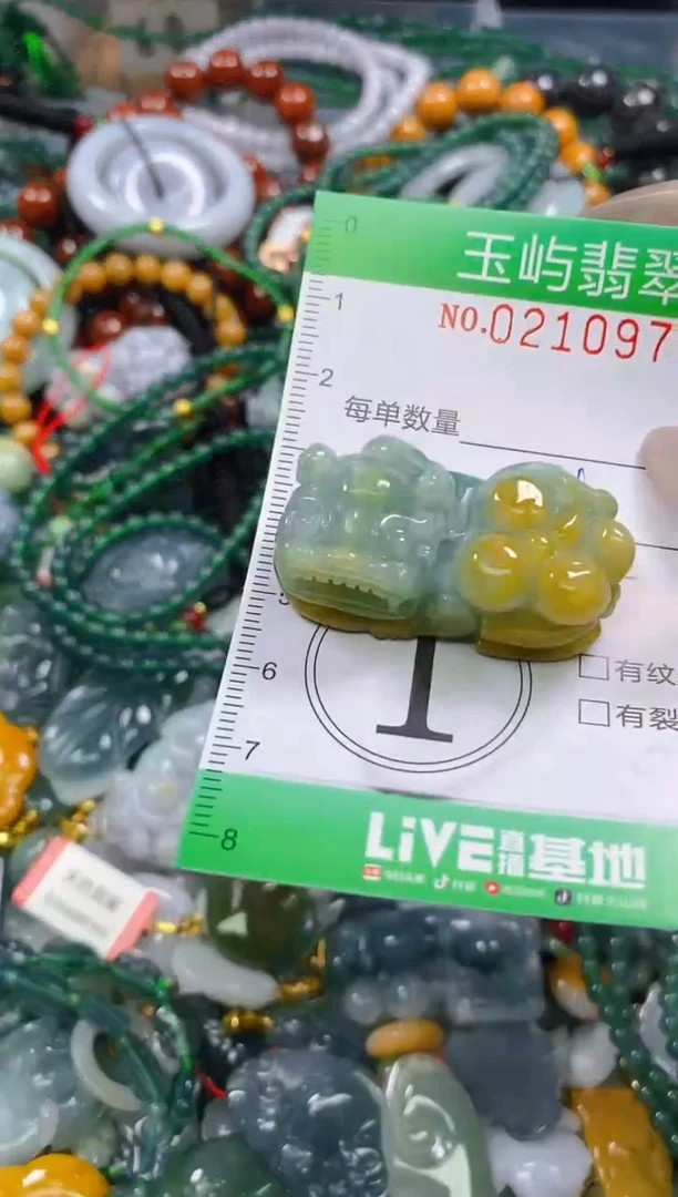 颈饰未镶嵌翡翠闪购0210974