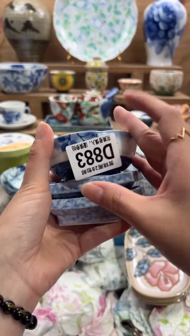 瓷片l*n      D883