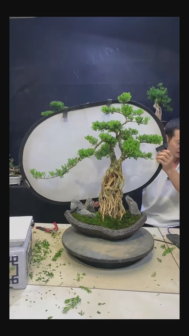 完全开放（*11111
