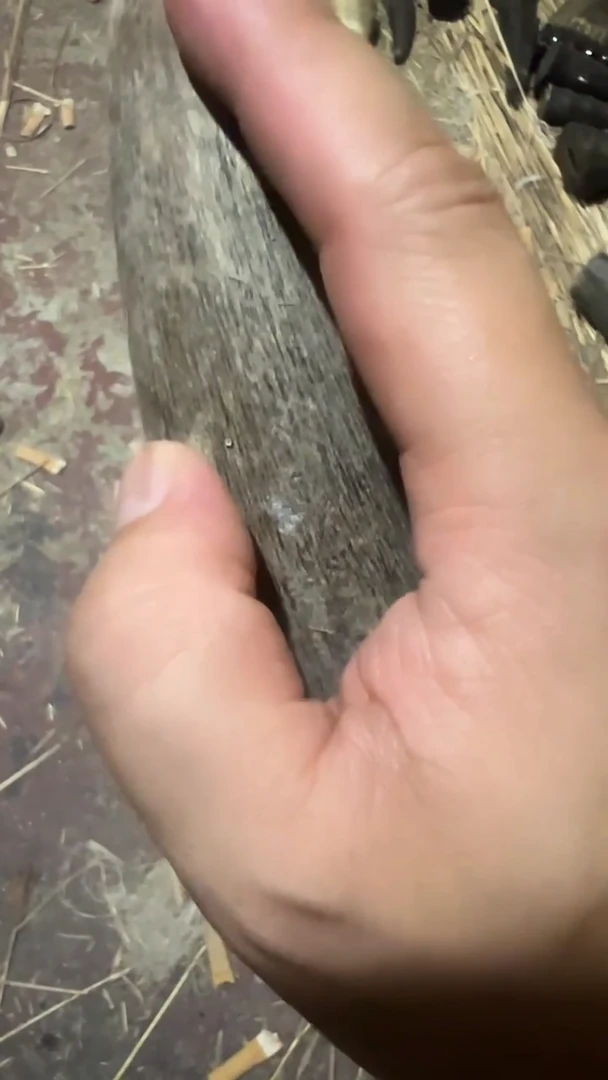 紫砂紫砂紫砂紫砂紫砂紫砂