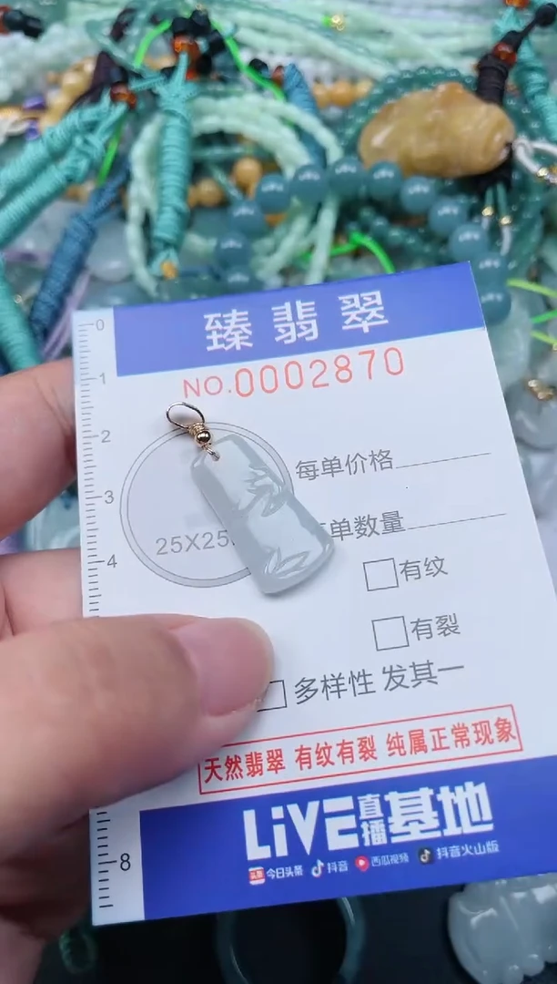 翡翠未镶嵌颈饰.0002870