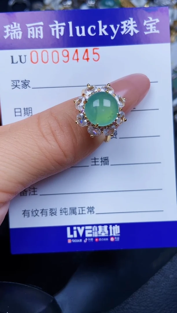 翡翠银S925镶嵌颈饰9445