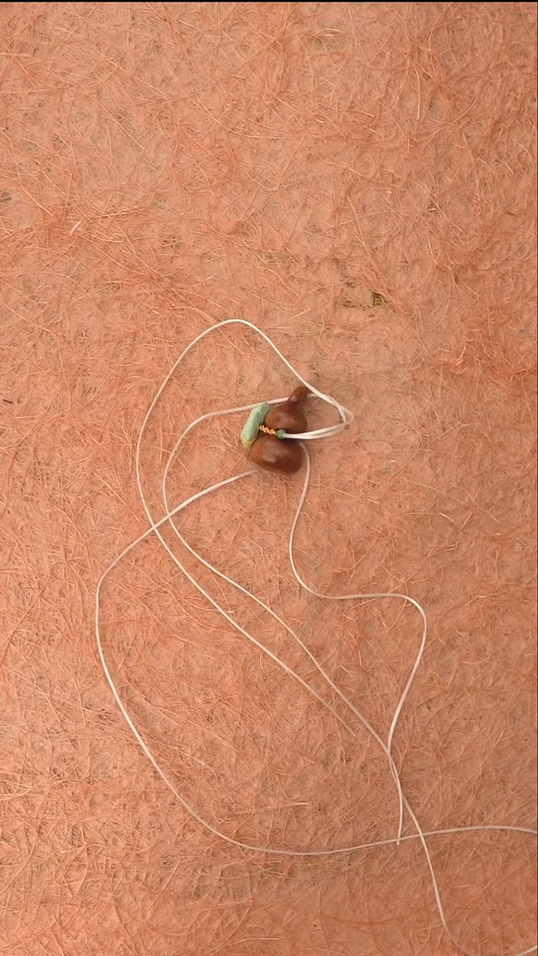 檀香木A2933多样性发货发起一