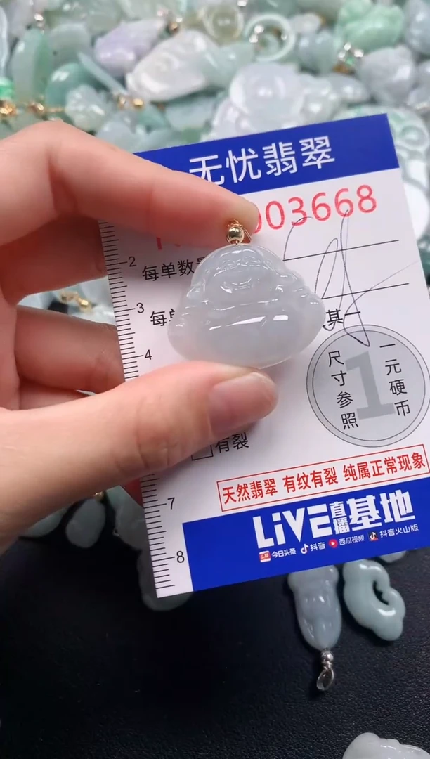 颈饰未镶嵌翡翠3668