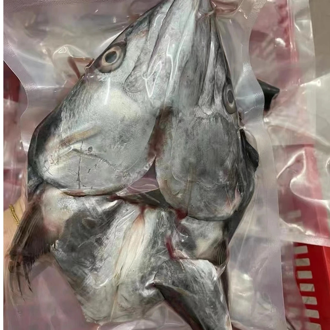 海钓康氏马鲛鱼 鱼头鱼尾（1包1斤）3斤 顺丰包邮