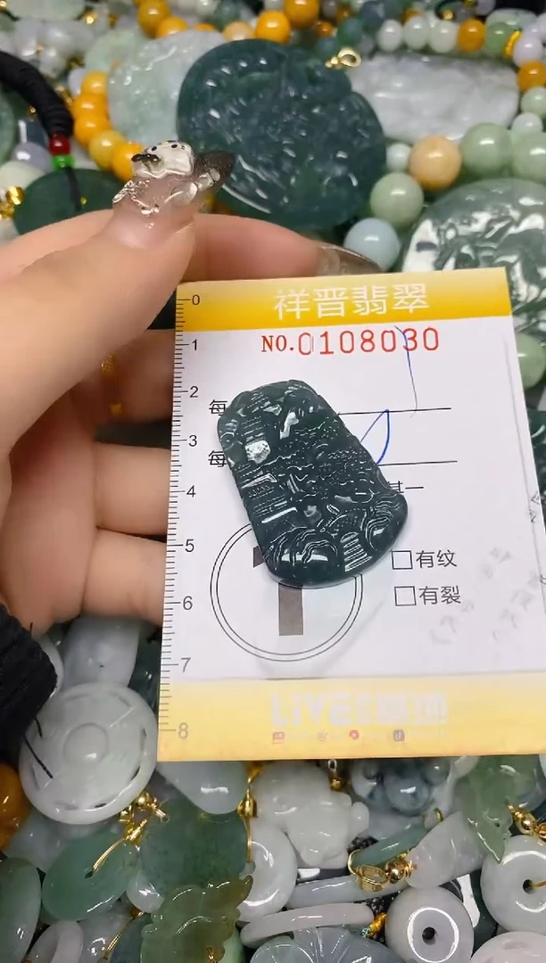 【闪购商品】翡翠颈饰未镶嵌闪购0108030