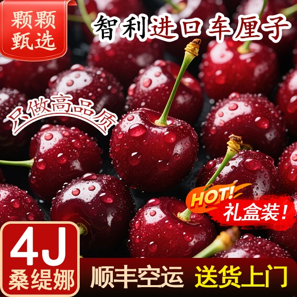 【2J-4J】智利进口桑提娜海运车厘子新鲜水果礼盒包邮内附果径卡