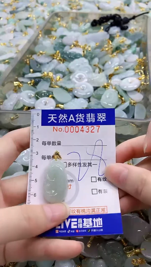 颈饰未镶嵌翡翠天然A货翡翠