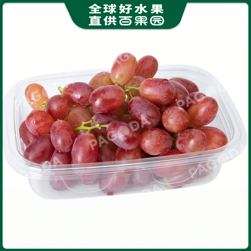 【洗净250g】克瑞森无核珍珠红1份净果肉