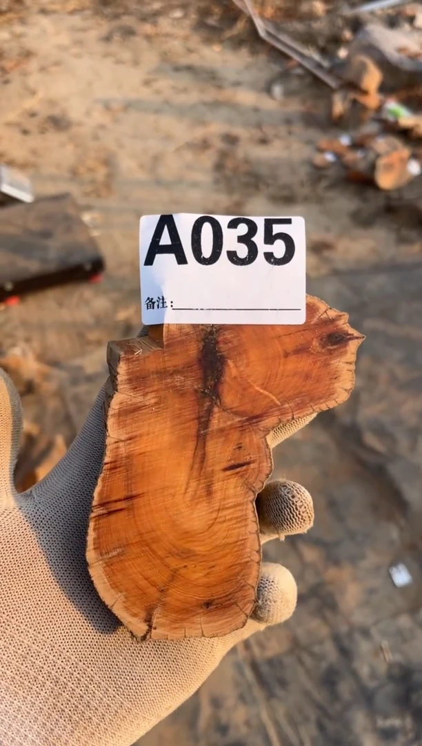 柏木（崖柏）太行崖柏香块