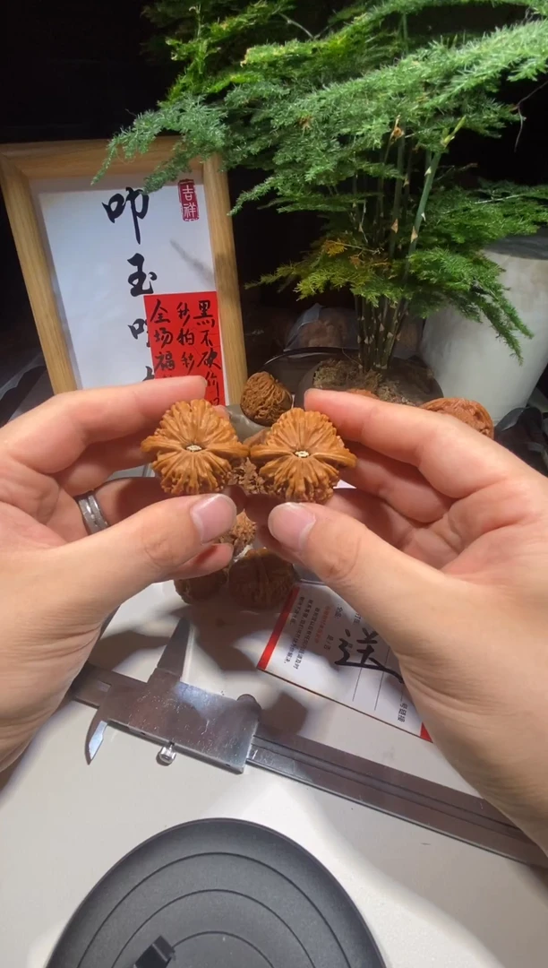 文玩核桃把件全品磨盘定向需要过汗