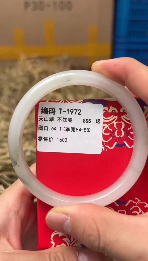 未镶嵌手镯石英质玉T-1972