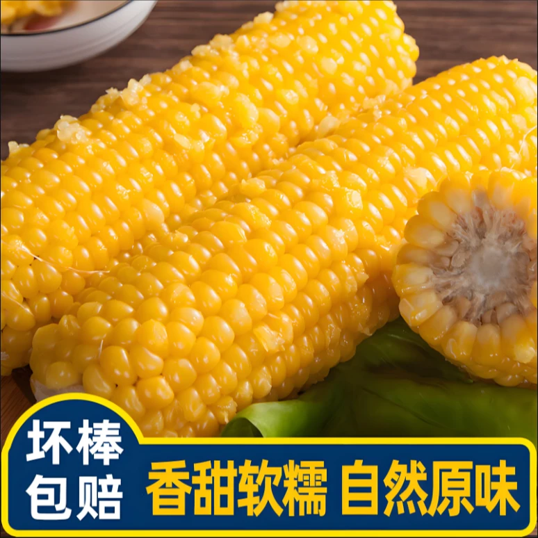 东北新鲜黄糯玉米真空包装香甜软糯粗粮美味佳选2400g