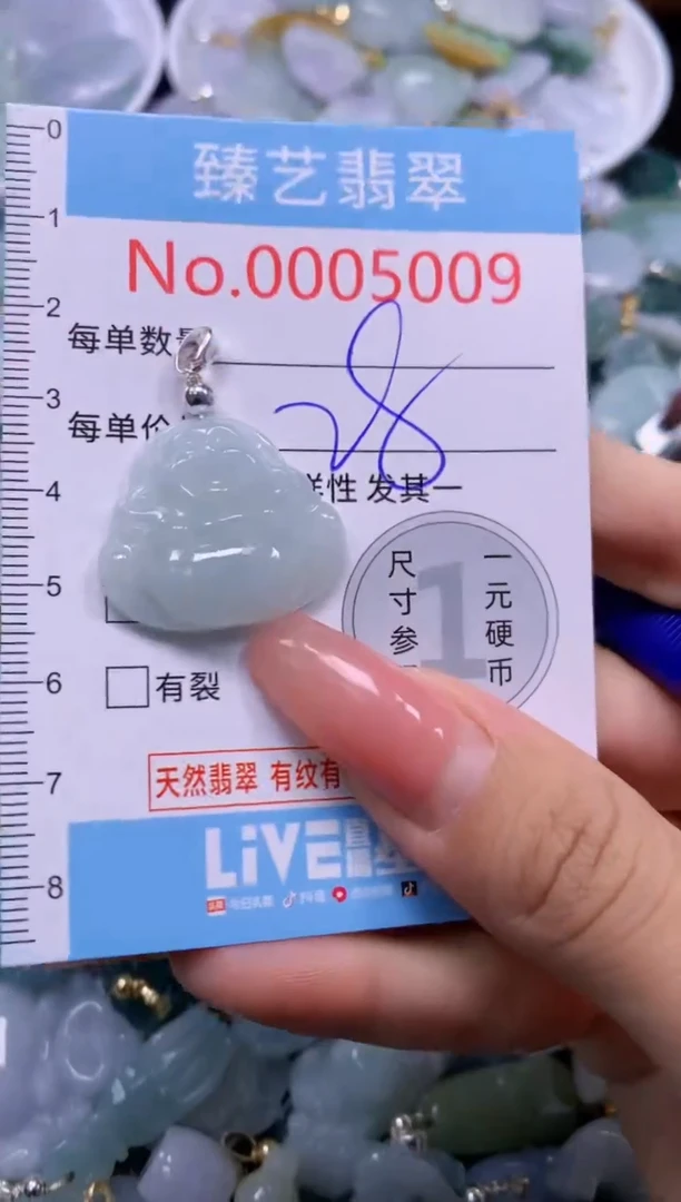 翡翠未镶嵌吊坠(不含链)5009