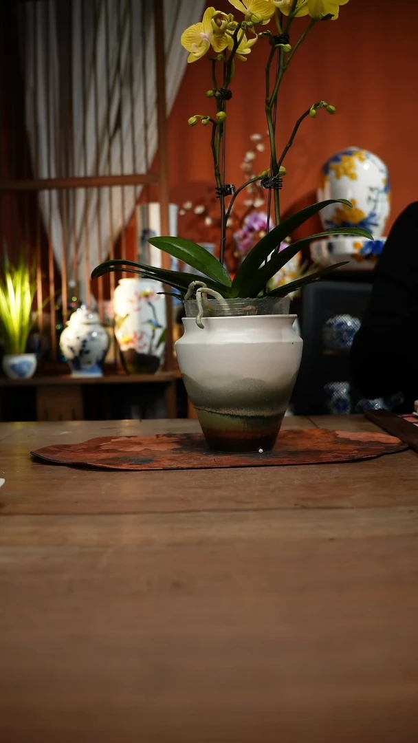 当代高温釉下彩手绘陶瓷餐具