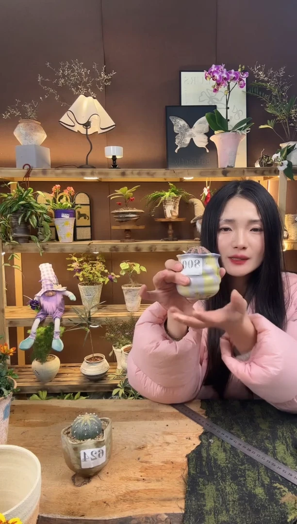 无花朵800拉根加盆一套