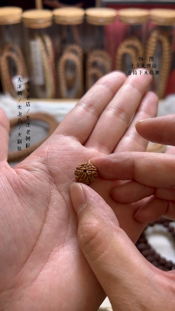 【闪购商品】金刚菩提手串金刚菩提单籽