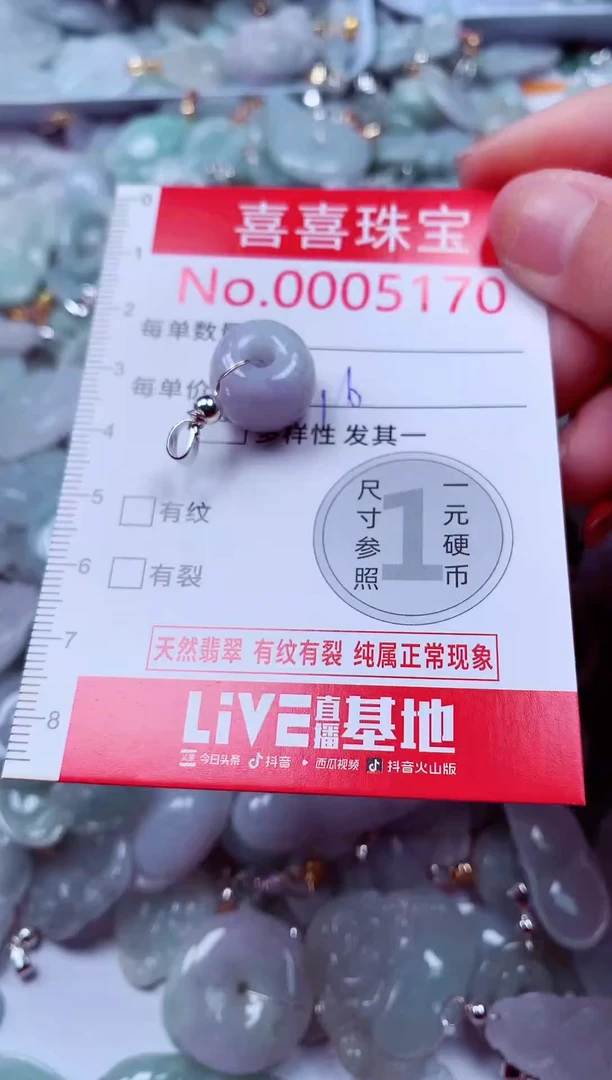 吊坠(不含链)未镶嵌翡翠5170