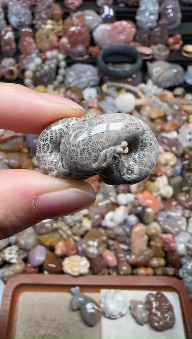 颈饰未镶嵌硅化珊瑚（珊瑚玉）632