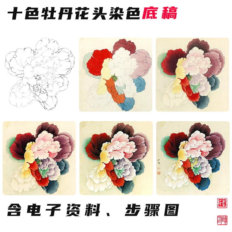 【十色牡丹花头染色】  赠送十色牡丹花头底稿  李晓明原创基础训练