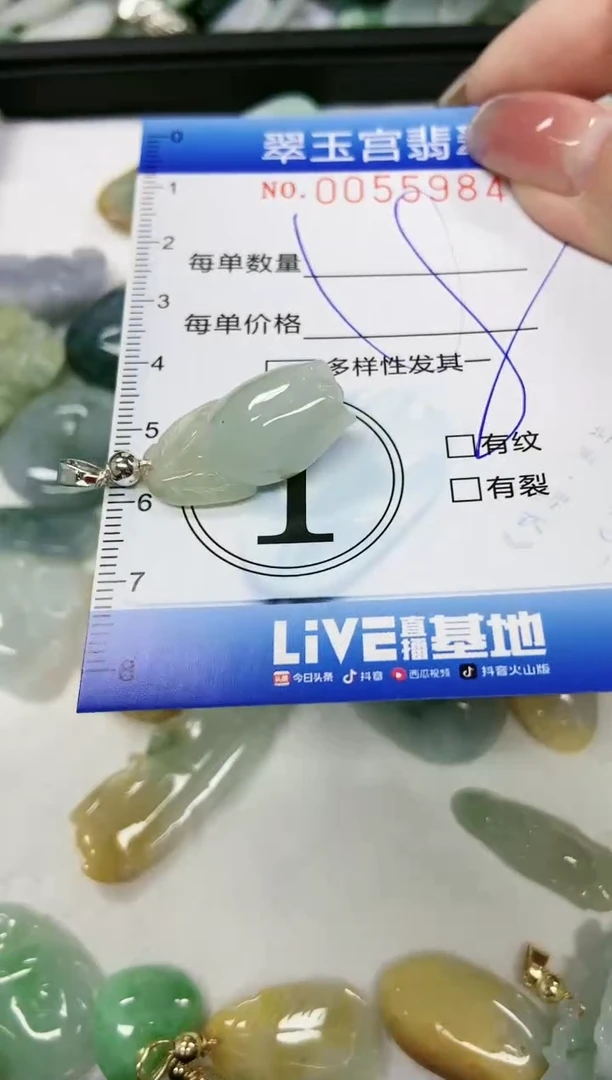 【闪购商品】翡翠颈饰未镶嵌闪购0055984